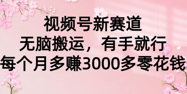 视频号新赛道，无脑搬运，有手就行，每个月多赚3000多零花钱-沐颜网创资源