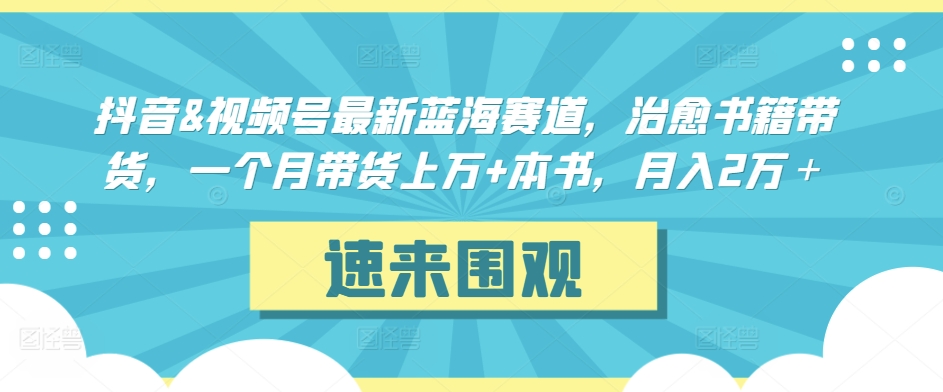 抖音&视频号最新蓝海赛道，治愈书籍带货，一个月带货上万+本书，月入2万＋【揭秘】-沐颜网创资源