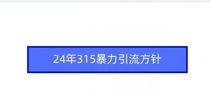24年315暴力引流方针-沐颜网创资源