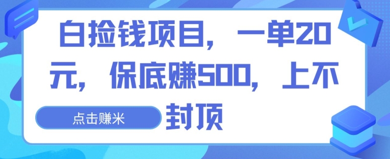 白捡钱项目，一单20元，保底赚500，上不封顶-沐颜网创资源
