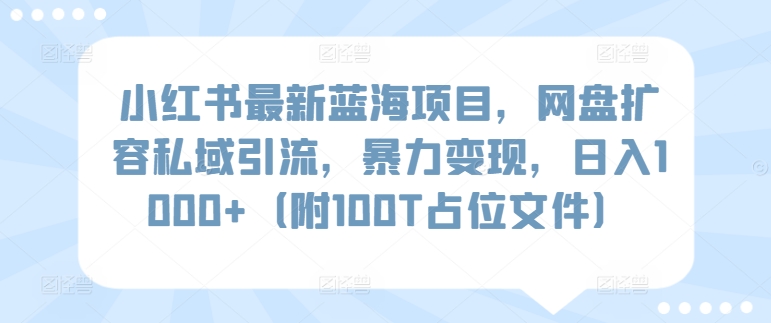 小红书最新蓝海项目，网盘扩容私域引流，暴力变现，日入1000+【揭秘】-沐颜网创资源