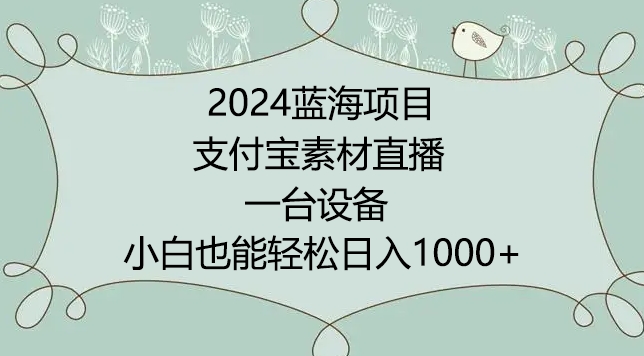 2024年蓝海项目，支付宝素材直播，无需出境，小白也能日入1000+ ，实操教程【揭秘】-沐颜网创资源