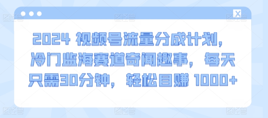 2024视频号流量分成计划，冷门监海赛道奇闻趣事，每天只需30分钟，轻松目赚 1000+【揭秘】-沐颜网创资源