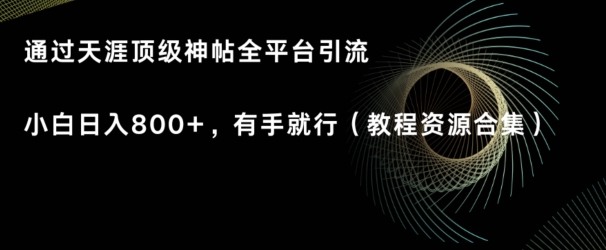 天涯顶级神帖项目，全平台引流小白日入800+，有手就行(内含教程资源合集)-沐颜网创资源