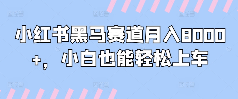 小红书黑马赛道月入8000+，小白也能轻松上车-沐颜网创资源