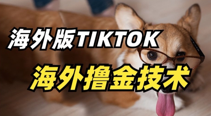 抖音海外版tiktok撸金技术，这个风口行业，赚钱真的不难【揭秘】-沐颜网创资源