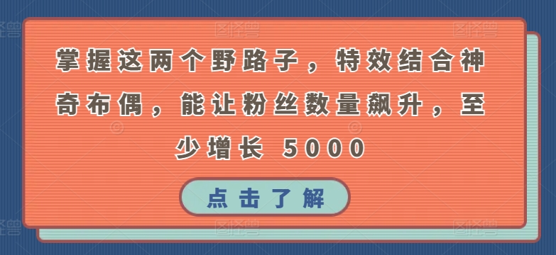 掌握这两个野路子，特效结合神奇布偶，能让粉丝数量飙升，至少增长 5000【揭秘】-沐颜网创资源
