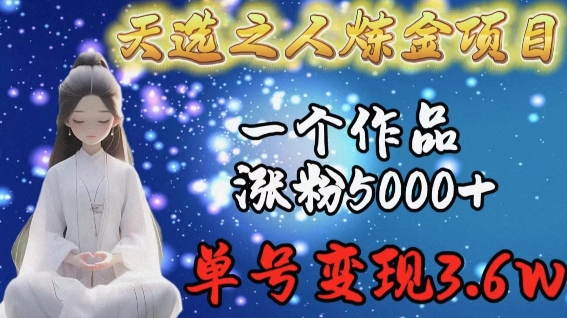 天选之人炼金项目，一个作品涨粉5000+，单号变现3.6w【揭秘】-沐颜网创资源