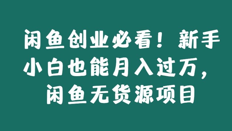 闲鱼创业必看！新手小白也能月入过万，闲鱼无货源项目-沐颜网创资源