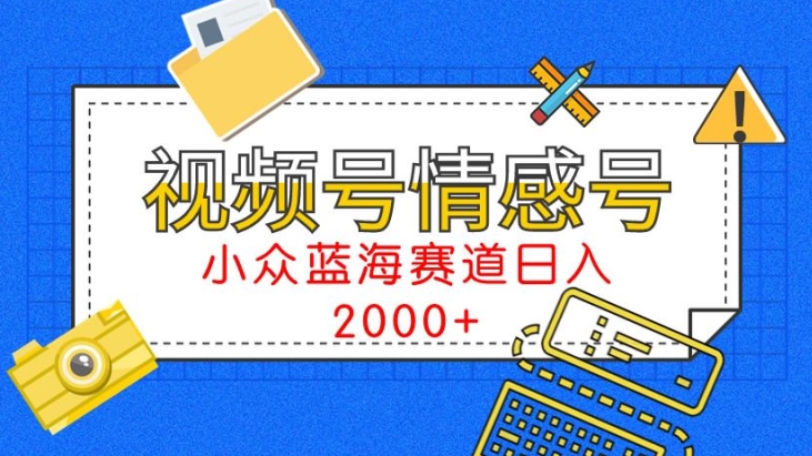 视频号情感号小众蓝海赛道，每天一小时，日入3000+-沐颜网创资源