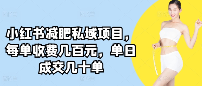小红书减肥私域项目，每单收费几百元，单日成交几十单-沐颜网创资源