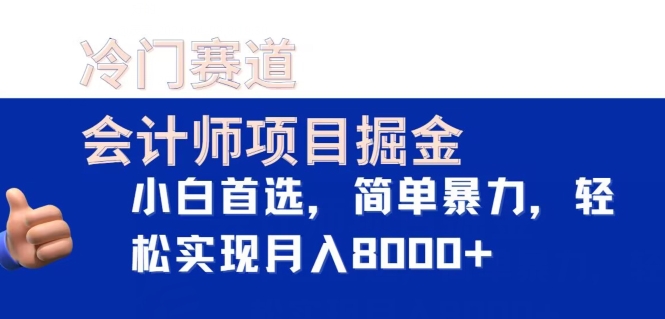 冷门赛道，会计师项目掘金，小白首选，简单暴力，轻松实现月入8000+-沐颜网创资源