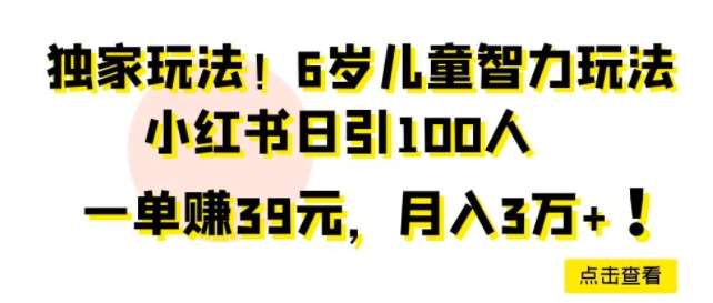 独家玩法，6岁儿童智力玩法，小红书日引100人-沐颜网创资源