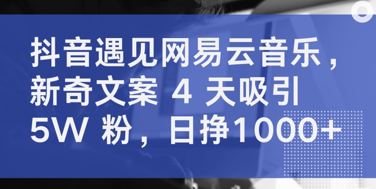 抖音遇见网易云音乐，新奇文案 4 天吸引 5W 粉，日挣1000+【揭秘】-沐颜网创资源