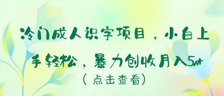 冷门成人识字项目，小白上手轻松，暴力创收月入5w+【揭秘】-沐颜网创资源