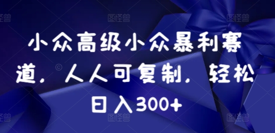 小众暴利赛道，人人可复制，轻松日入300+-沐颜网创资源