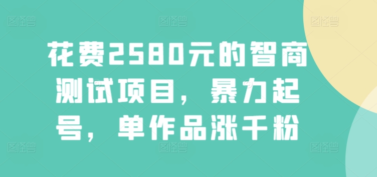 花费2580元的智商测试项目，暴力起号，单作品涨千粉-沐颜网创资源