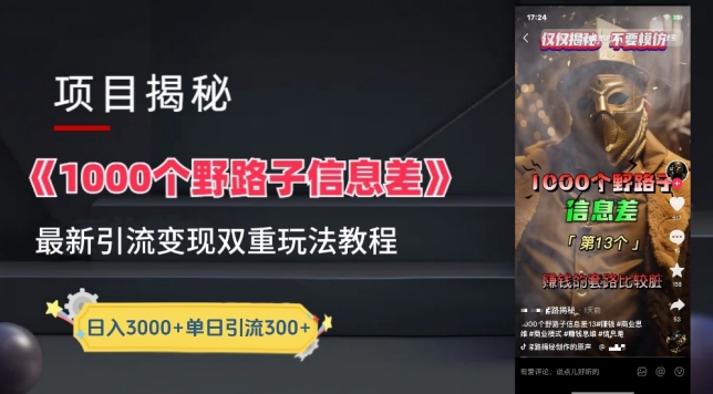 一千个野路子信息差最新玩法教程-变现+引流的玩法具体拆解【揭秘】-沐颜网创资源
