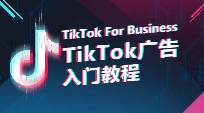 TikTok广告入门教程，从0到1掌握TikTok投放的全流程-沐颜网创资源