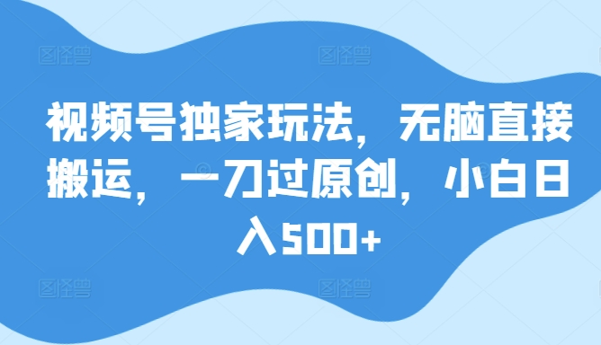 视频号独家玩法，无脑直接搬运，一刀过原创，小白日入500+-沐颜网创资源