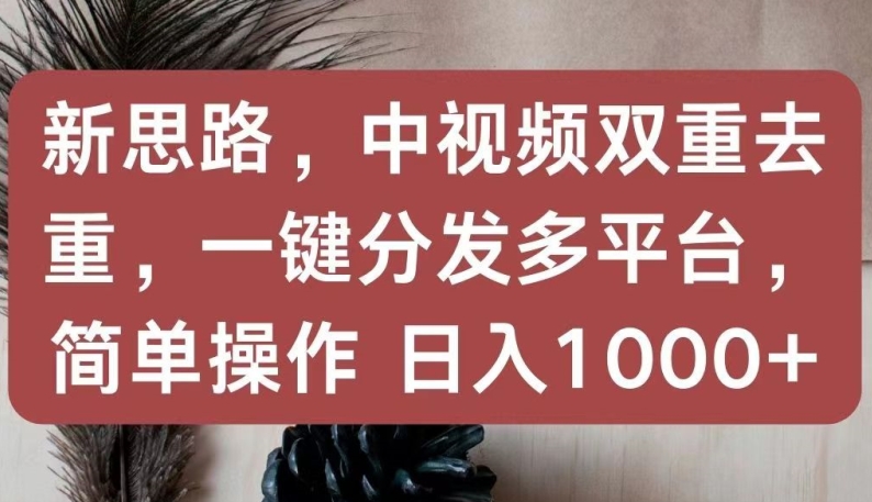 新思路，中视频双重去重，一键分发多平台，简单操作，日入1000+【揭秘】-沐颜网创资源