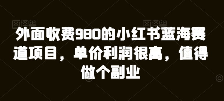 外边收费标准980的小红书瀚海跑道新项目，价格盈利非常高，值得坚持个第二职业-沐颜网创资源