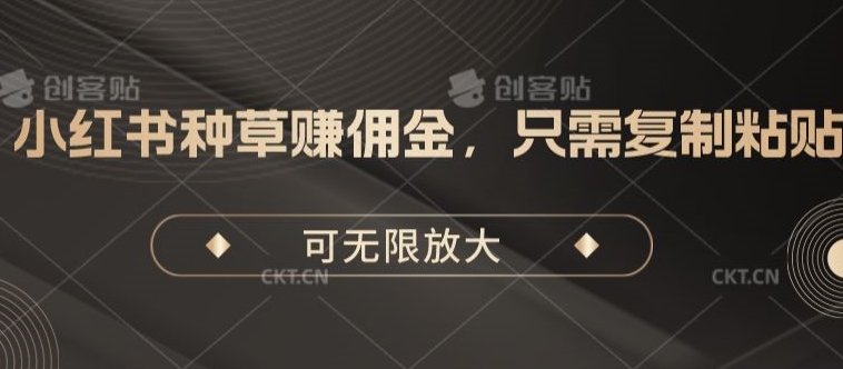 小红书种草手机赚钱，仅需拷贝，可放大化-沐颜网创资源