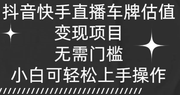 抖音和快手直播间车牌号公司估值转现新项目，不用门坎，小白可快速上手实际操作-沐颜网创资源