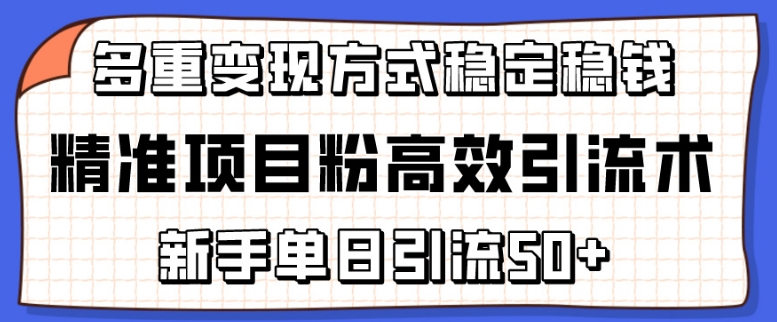 精确新项目粉高效率引流术，初学者单日引流方法50 ，多种变现模式稳定赚钱【揭密】-沐颜网创资源