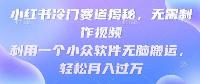 小红书的小众跑道揭密，不用制作小视频，利用一个小众软件没脑子运送，轻轻松松月入了万-沐颜网创资源