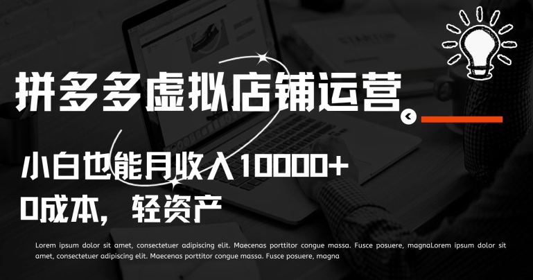 拼多多虚拟店铺运营小白也能月收入10000+【揭秘】-沐颜网创资源