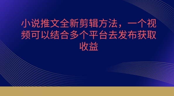 小说推文全新升级剪辑方法，一个视频需要结合各个平台去公布获得【揭密】-沐颜网创资源
