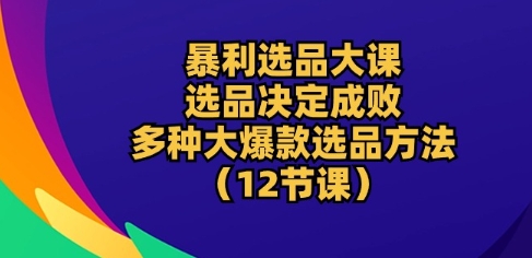 爆利选款大课：选款决定成败，教大家多种多样大爆品选款方式(12堂课)-沐颜网创资源