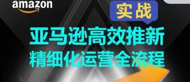亚马逊平台高效率上新精细化营销全过程，多方位、快速拉升商品排行和销量!-沐颜网创资源
