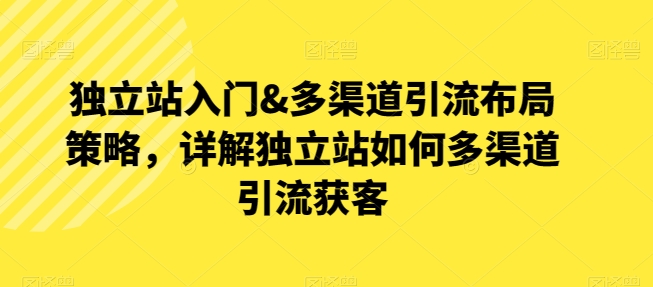 自建站新手入门&多种渠道引流方法合理布局对策，详细说明自建站怎样多种渠道引流方法拓客-沐颜网创资源