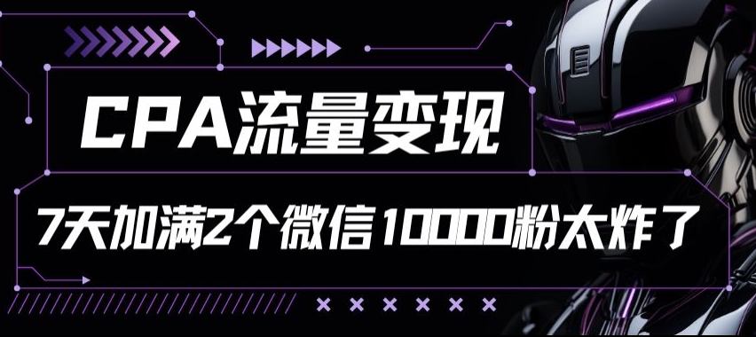 CPA数据流量变现7天满油两个微信号10000粉-沐颜网创资源