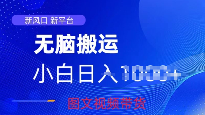 京东视频图文搬运带货项目，蓝海赛道小白轻松上手，每天一小时轻松获取收益-沐颜网创资源