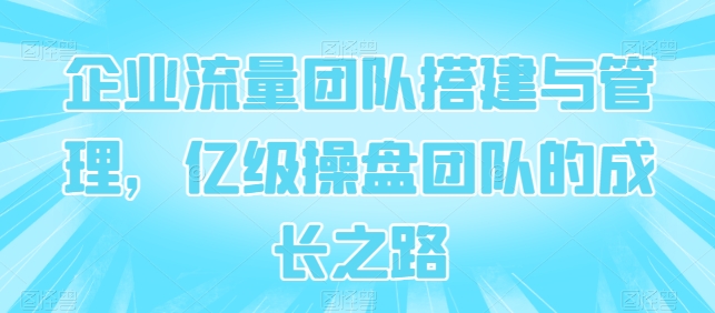 公司总流量团队搭建及管理，数亿级股票操盘团队成长历程-沐颜网创资源
