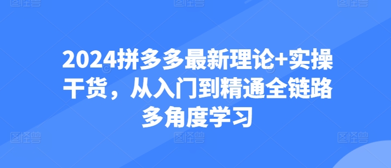 2024拼多多最新理论+实操干货，从入门到精通全链路多角度学习-沐颜网创资源