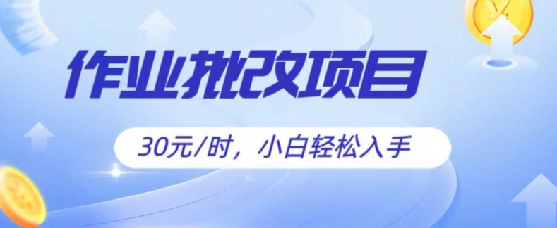 批作业新项目，30元后，简易易上手，适宜宝妈妈，在校大学生-沐颜网创资源
