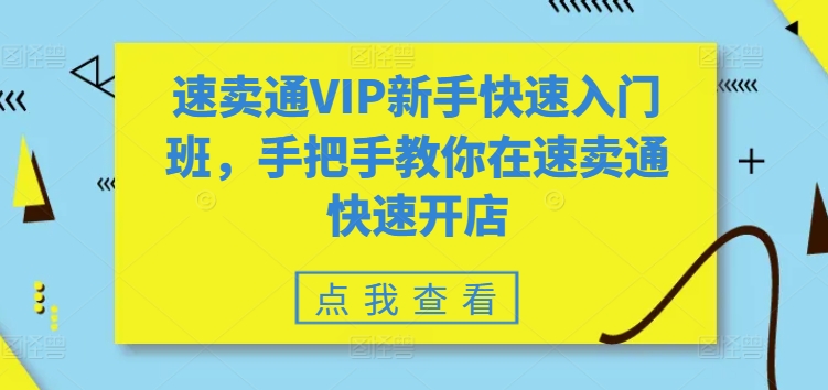 全球速卖通VIP初学者快速上手班，教你如何在全球速卖通迅速开实体店-沐颜网创资源