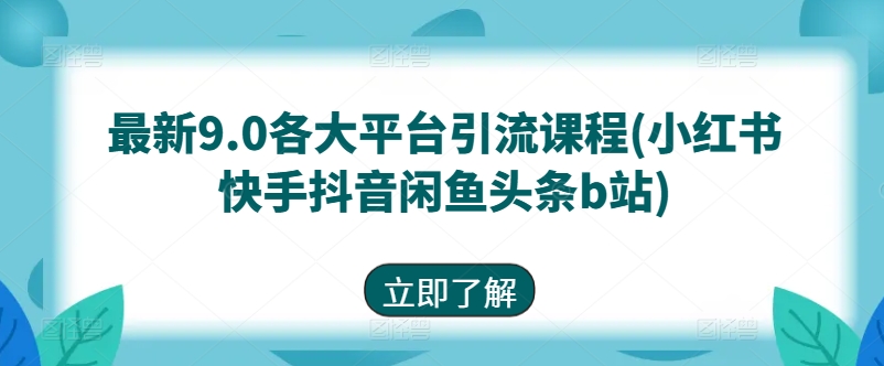 全新9.0各个平台引流课程(小红书的快手抖音闲剁椒鱼头条b站)-沐颜网创资源