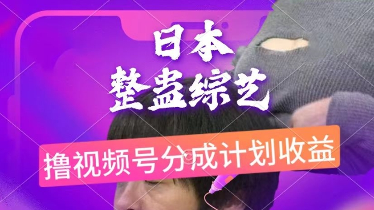 日本搞恶综艺节目，撸视频号分为方案盈利，每天只需一小时，新手入门快速上手-沐颜网创资源
