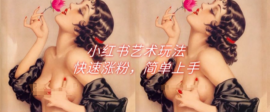 小红书的造型艺术游戏玩法，快速吸粉，简易入门-沐颜网创资源