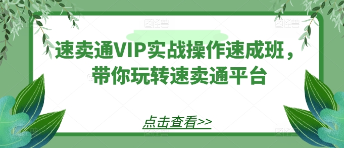 全球速卖通VIP实战操作短期培训班，带你玩转速卖通平台-沐颜网创资源