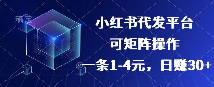 【小红书的 抖音视频】代发平台，一条1~4元，日赚30 的可靠小程序，可引流矩阵实际操作-沐颜网创资源