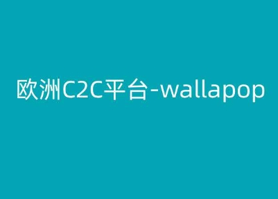 欧洲地区C2C服务平台-wallapop-kim跨境电子商务实例教程-沐颜网创资源