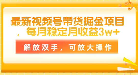 全新视频号带货掘金队新项目，每月平稳月盈利1w ，解锁新技能，可变大实际操作-沐颜网创资源