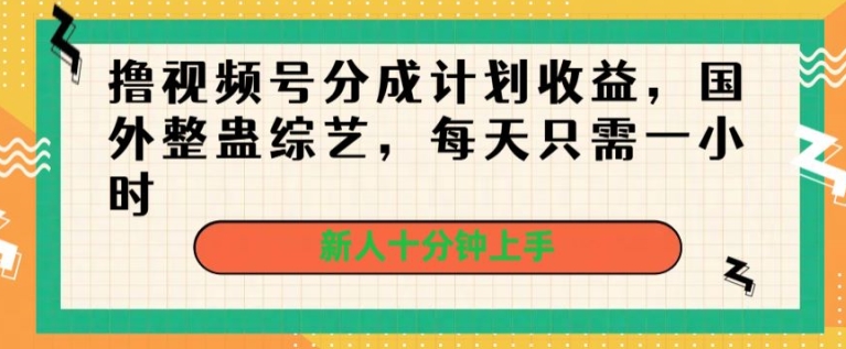 撸视频号分成计划收益，国外整蛊综艺，每天只需一小时，新人十分钟上手-沐颜网创资源