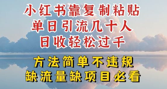 小红书靠复制粘贴单日引流几十人目收轻松过千，方法简单不违规【揭秘】-沐颜网创资源